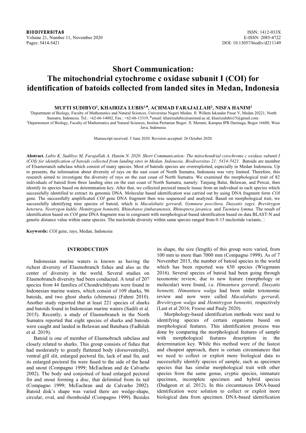 The Mitochondrial Cytochrome C Oxidase Subunit I (COI) for Identification of Batoids Collected from Landed Sites in Medan, Indonesia