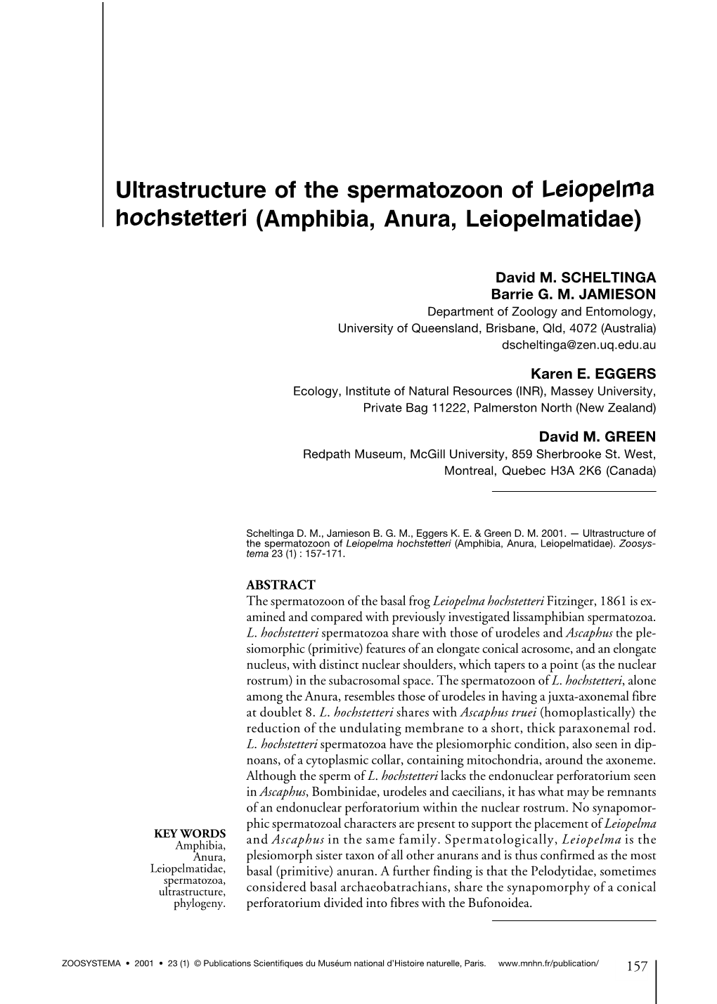 Ultrastructure of the Spermatozoon of Leiopelma Hochstetteri (Amphibia, Anura, Leiopelmatidae)