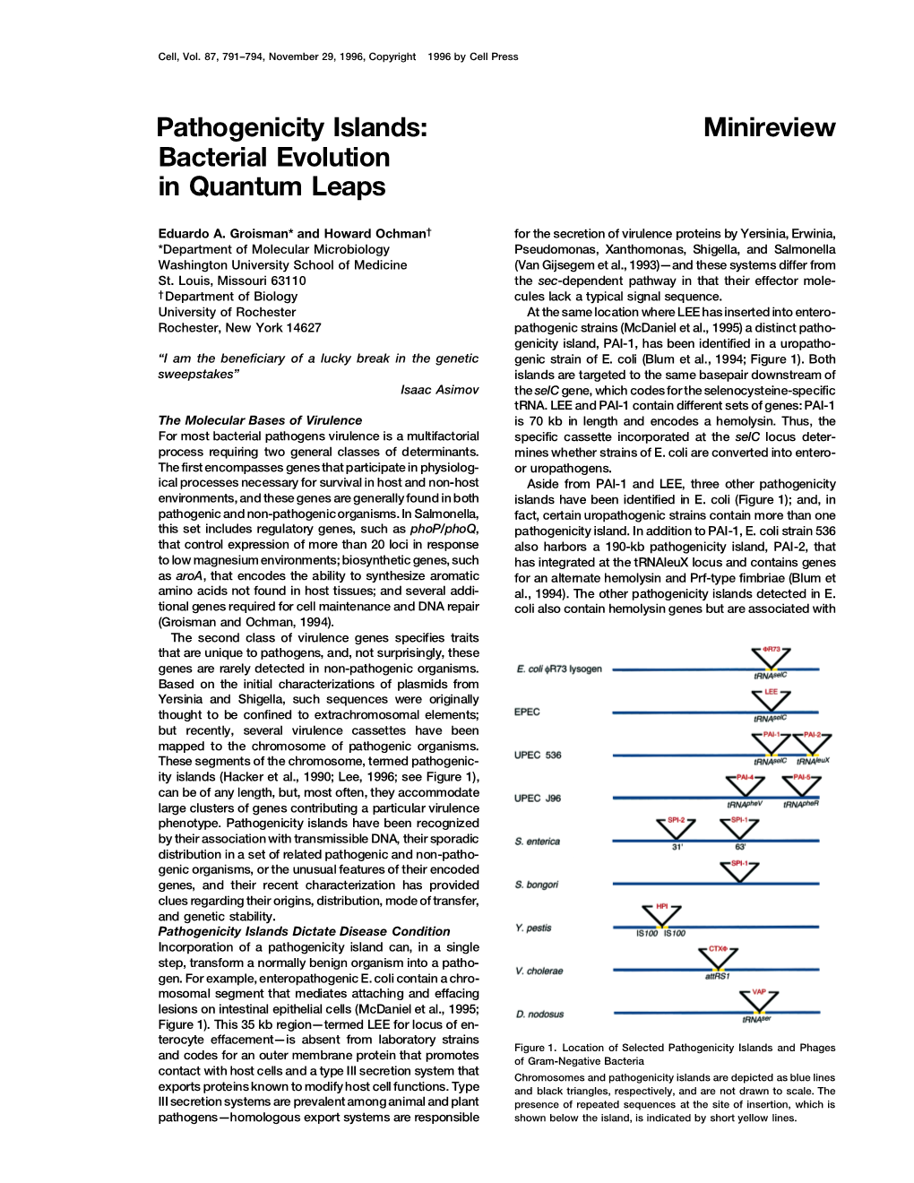 Pathogenicity Islands: Minireview Bacterial Evolution in Quantum Leaps