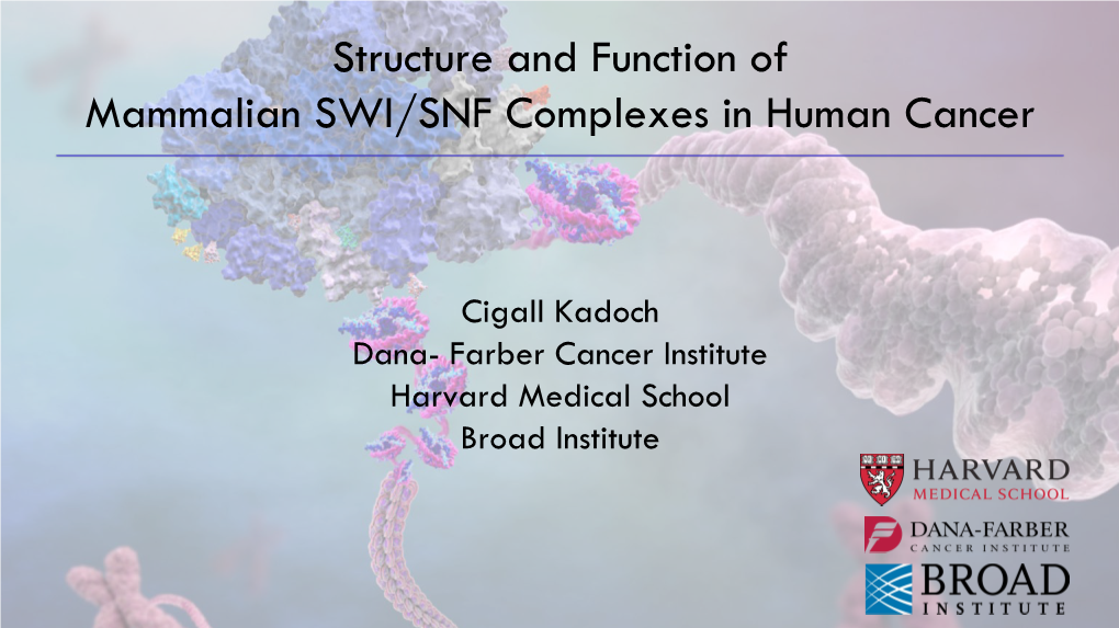 Structure and Function of Mammalian SWI/SNF Chromatin Remodeling