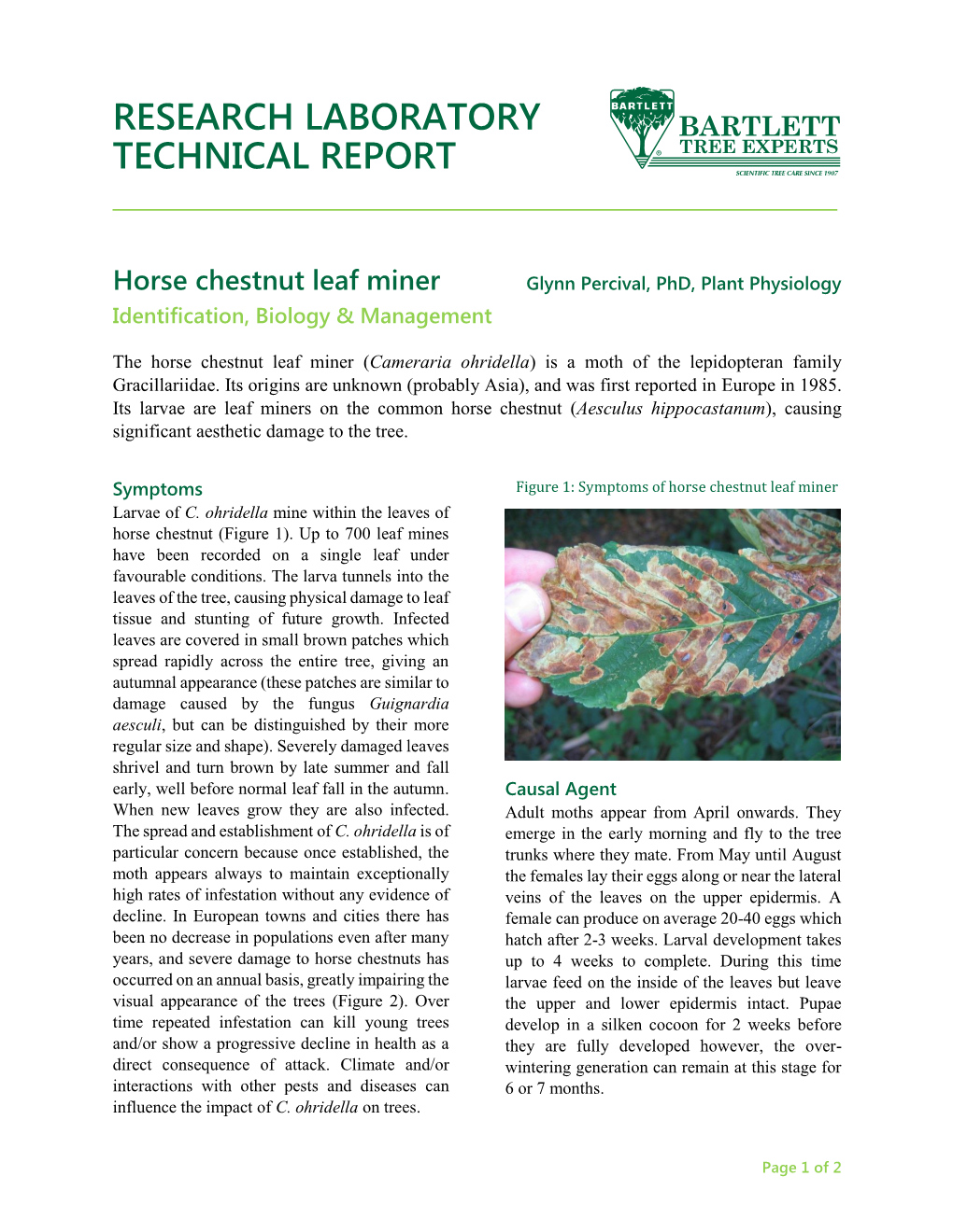 Horse Chestnut Leaf Miner Glynn Percival, Phd, Plant Physiology Identification, Biology & Management