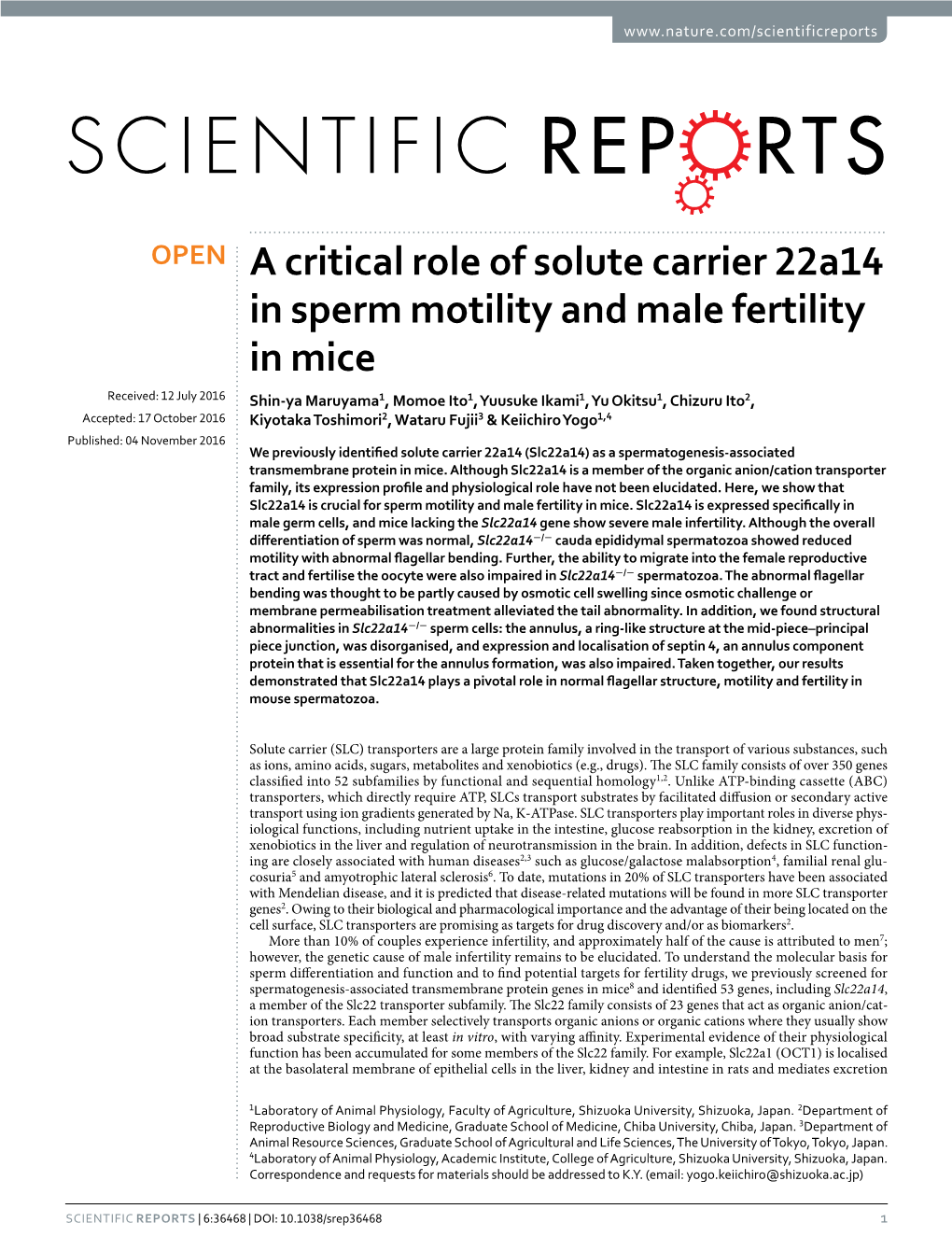 A Critical Role of Solute Carrier 22A14 in Sperm Motility And
