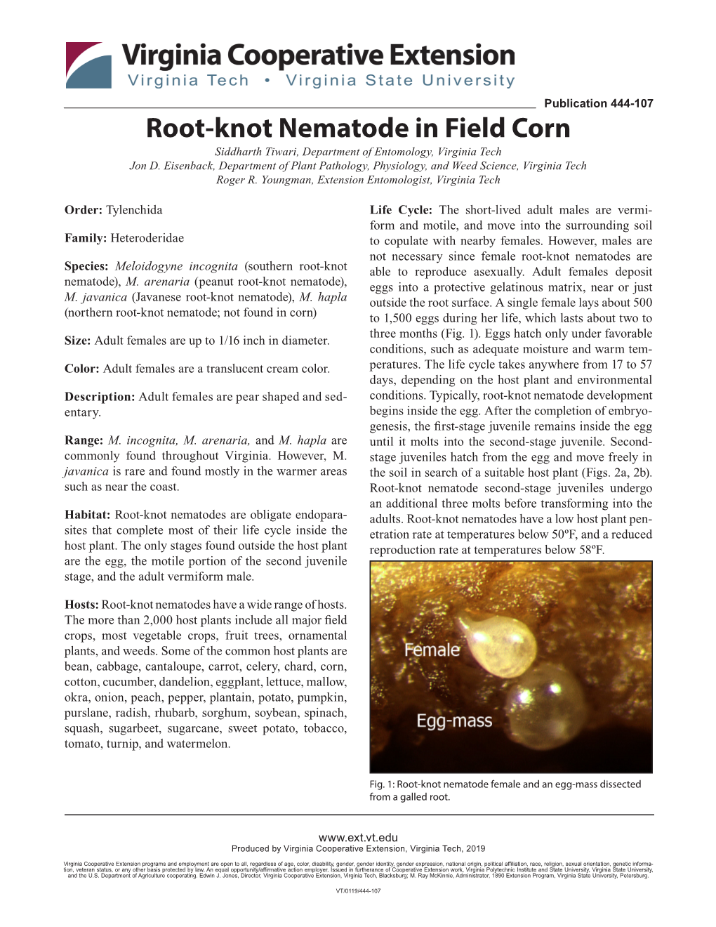 Root-Knot Nematode in Field Corn Siddharth Tiwari, Department of Entomology, Virginia Tech Jon D