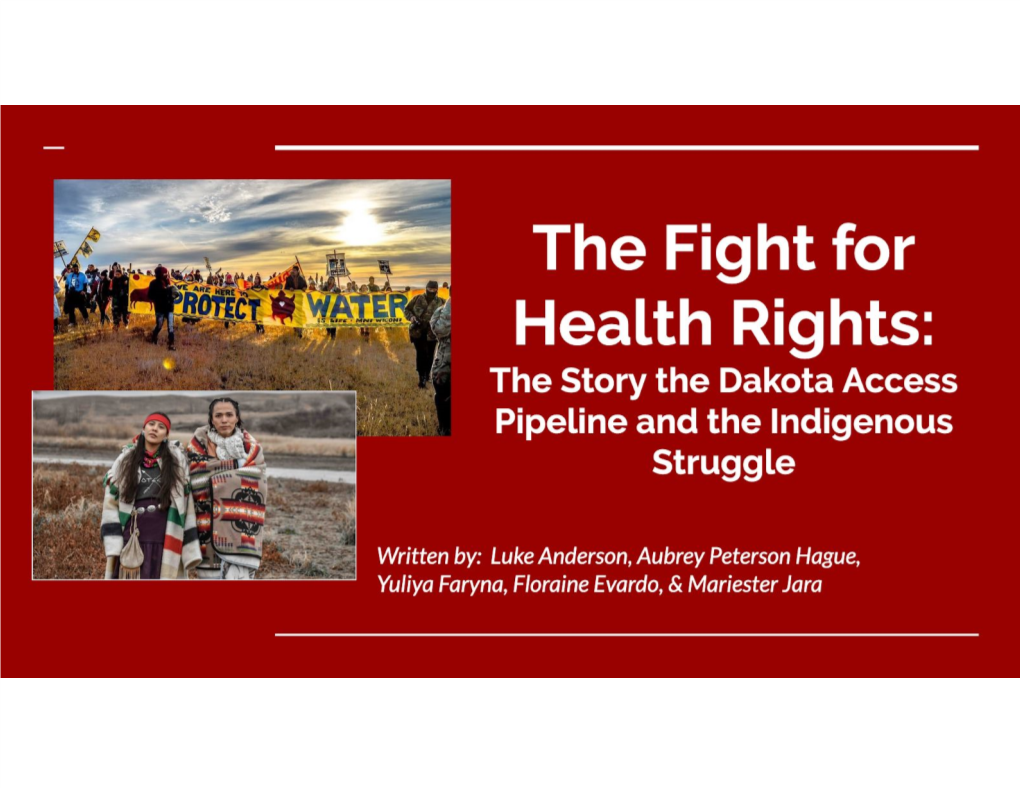 The Fight for Health Rights:.Pdf