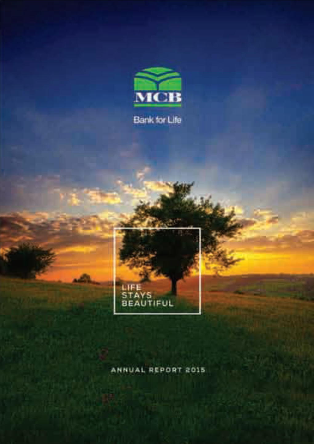 MCB Bank Annual Report 2015