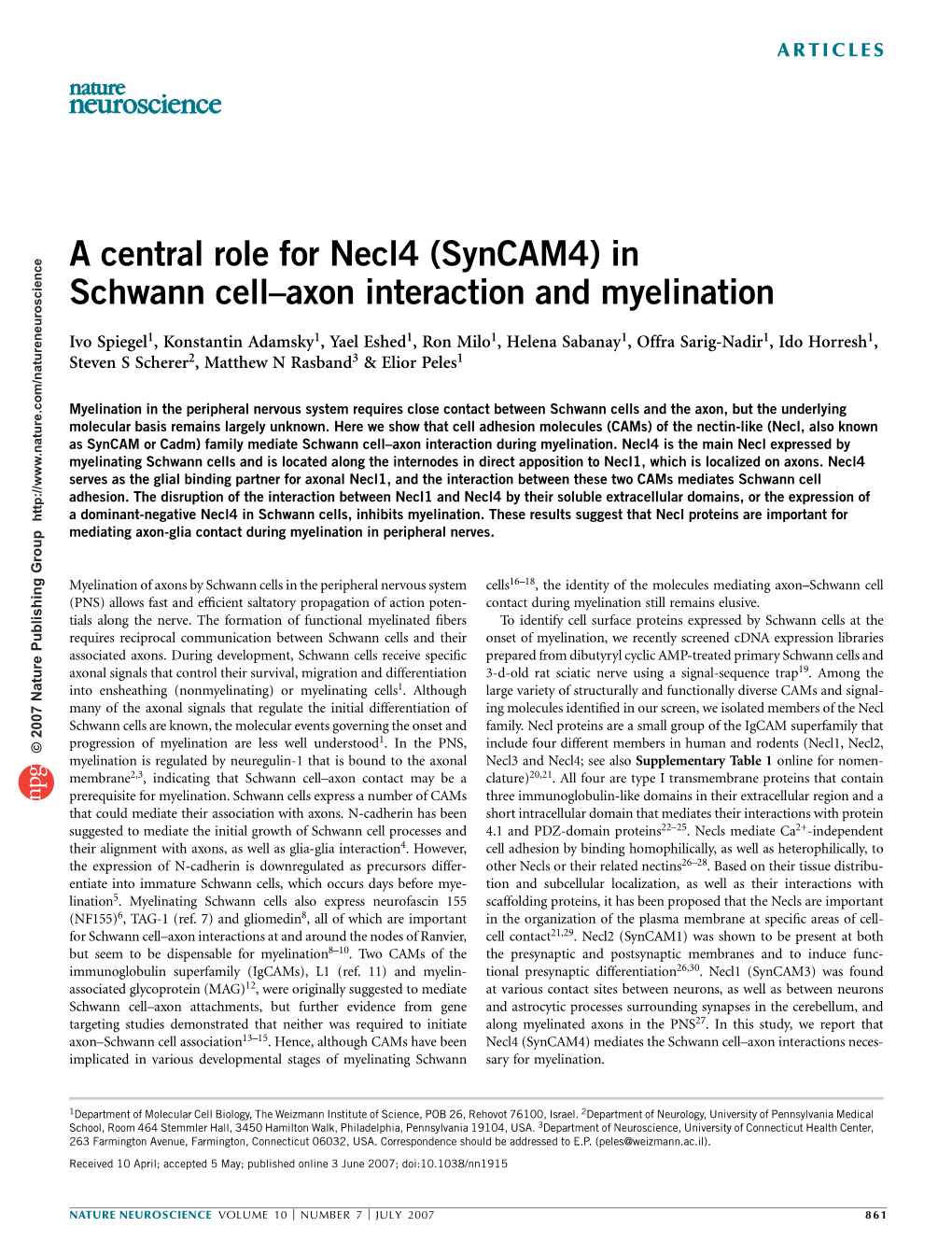 A Central Role for Necl4 (Syncam4) in Schwann Cell–Axon Interaction and Myelination
