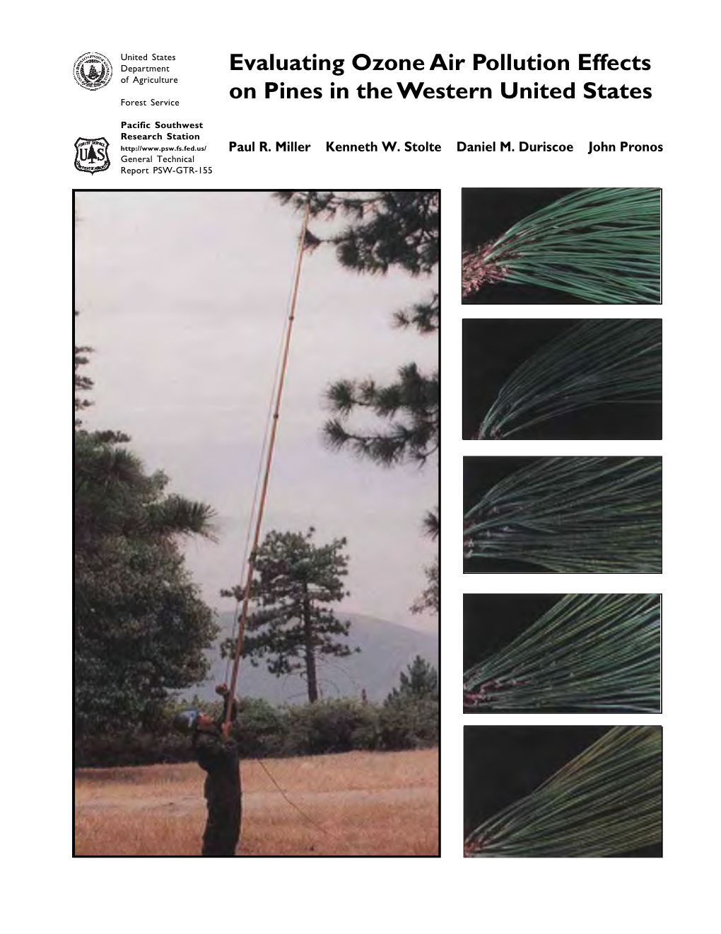 Evaluating Ozone Air Pollution Effects on Pines in the Western United States