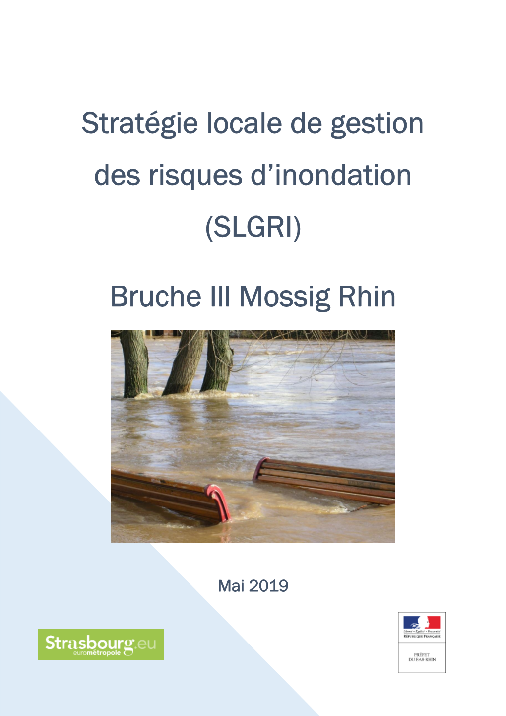 Stratégie Locale De Gestion Des Risques D'inondation (SLGRI)