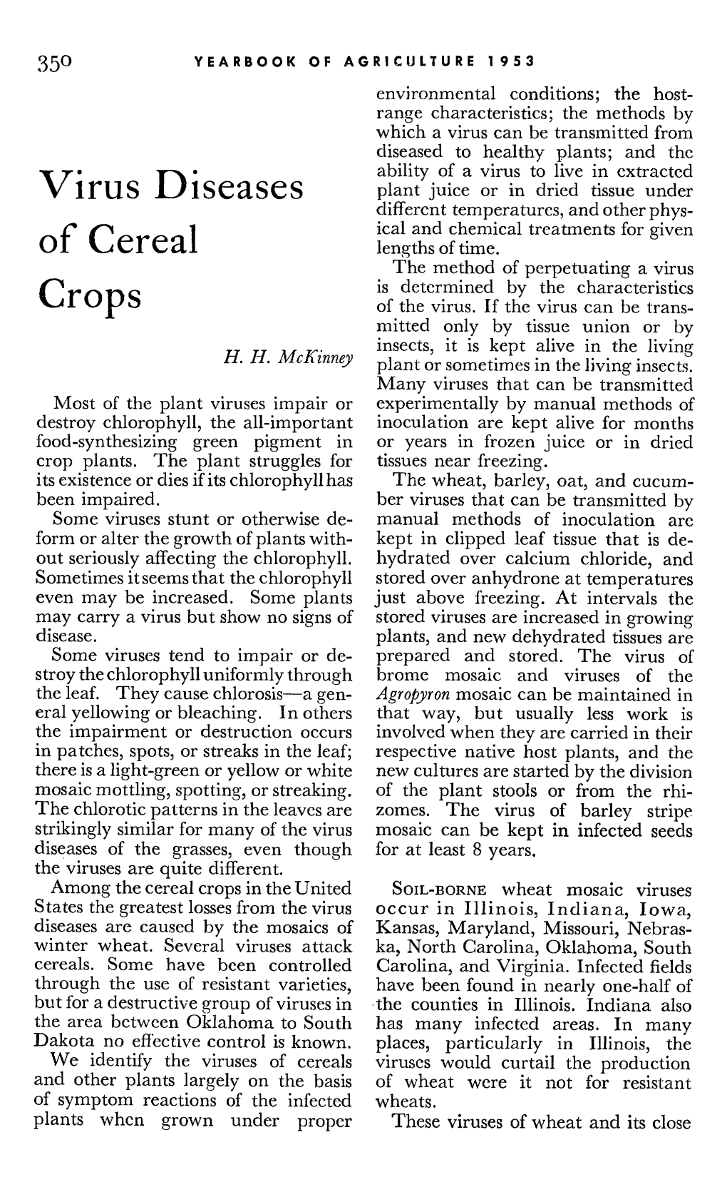 Virus Diseases of Cereal Crops