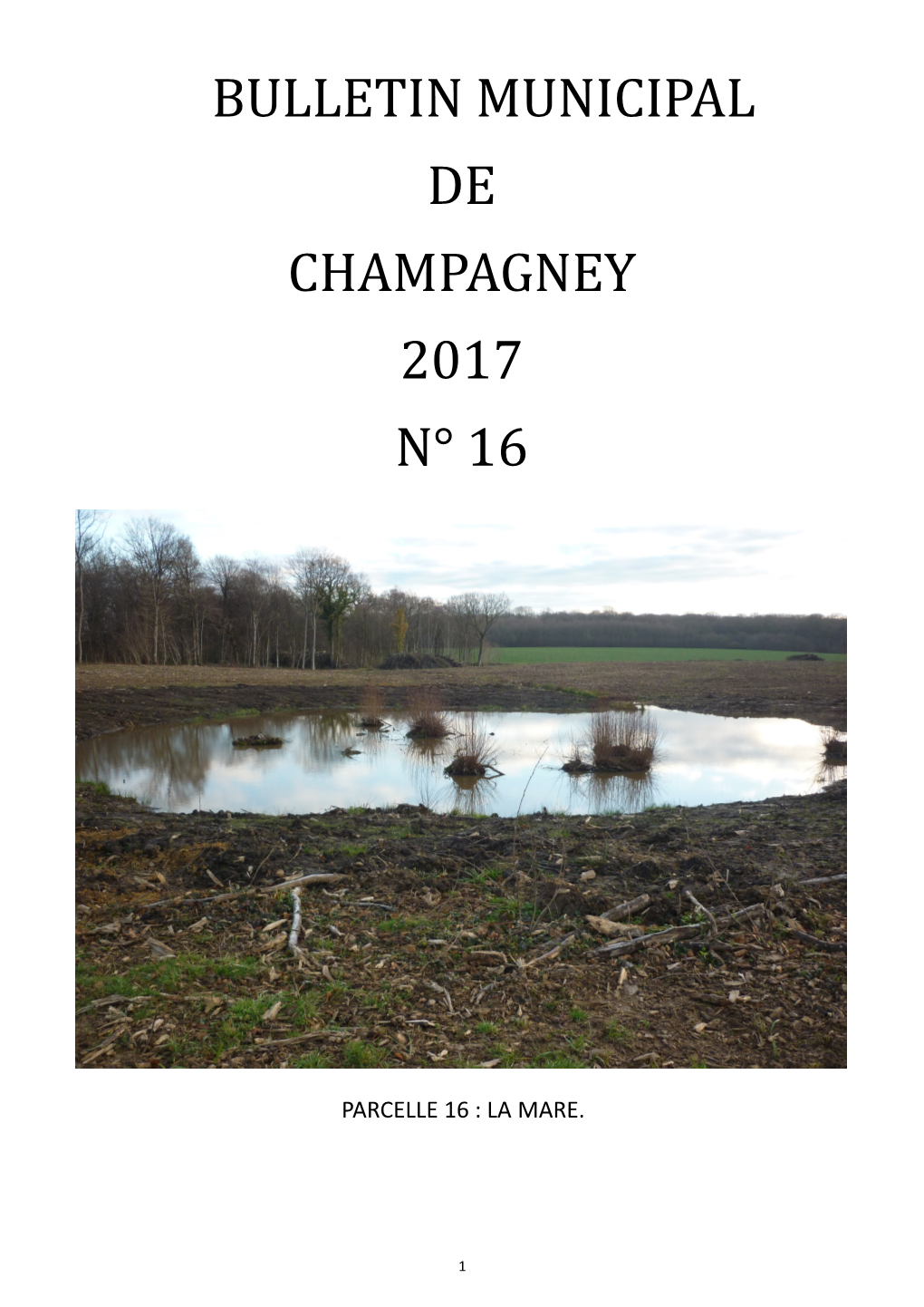 Bulletin Municipal De Champagney 2017 N° 16