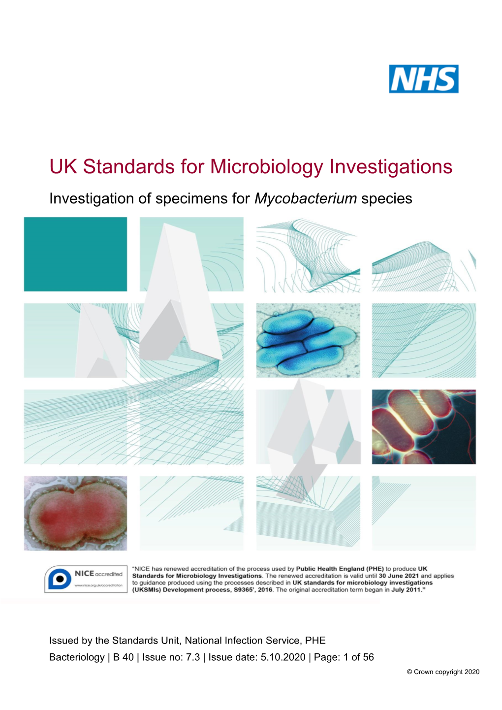 UK SMI: B 40 Investigation of Specimens for Mycobacterium Species