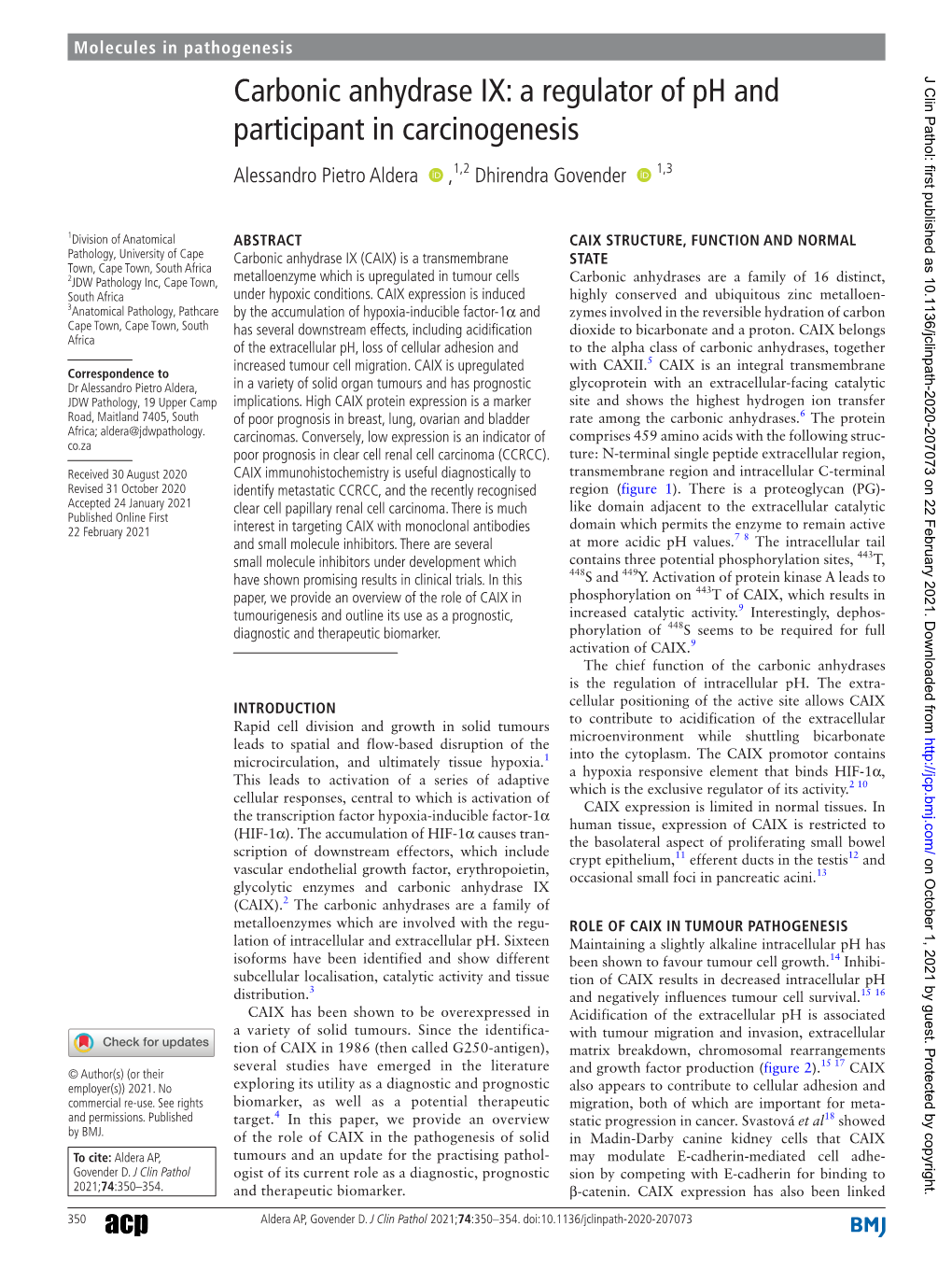 Carbonic Anhydrase IX: a Regulator of Ph and Participant in Carcinogenesis Alessandro Pietro Aldera ‍ ‍ ,1,2 Dhirendra Govender ‍ ‍ 1,3