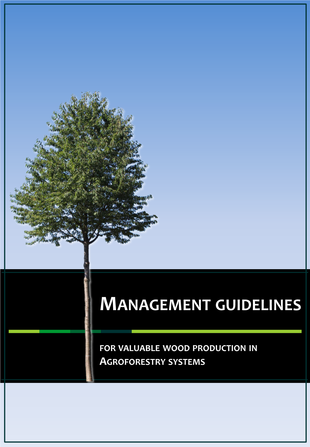 Management Guidelines for Valuable Wood Production in Agroforestry Systems