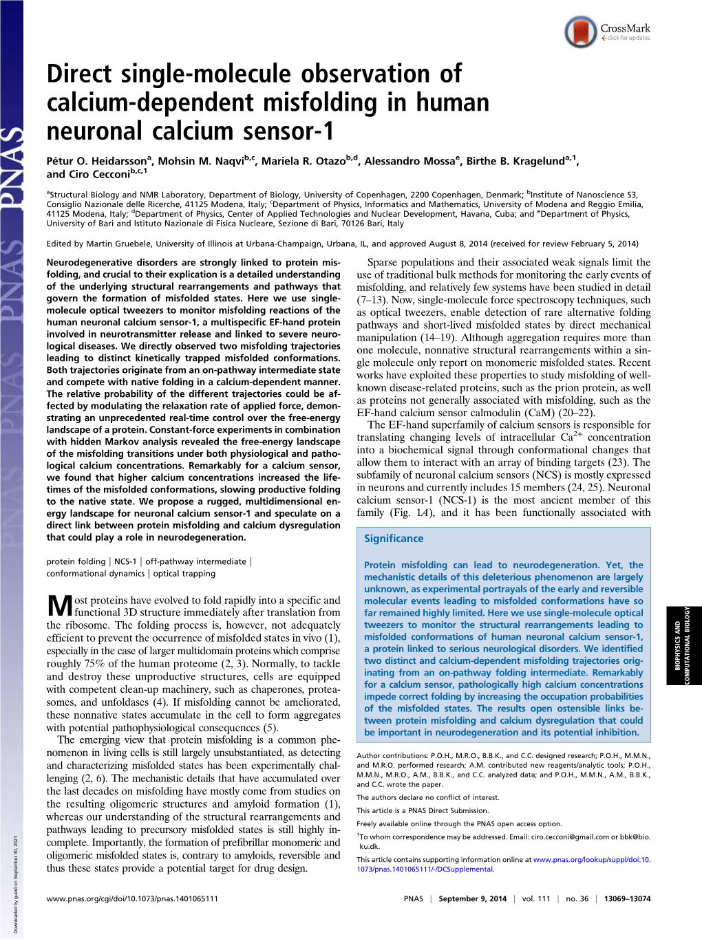 Direct Single-Molecule Observation of Calcium-Dependent Misfolding in Human Neuronal Calcium Sensor-1