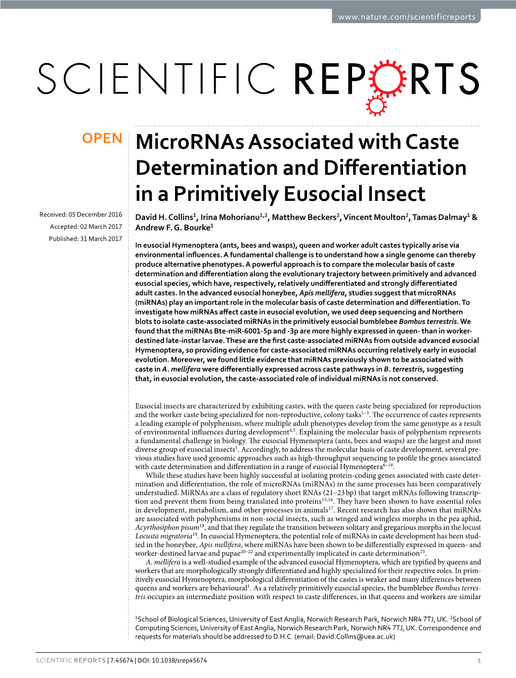 Micrornas Associated with Caste Determination and Differentiation in a Primitively Eusocial Insect Received: 05 December 2016 David H