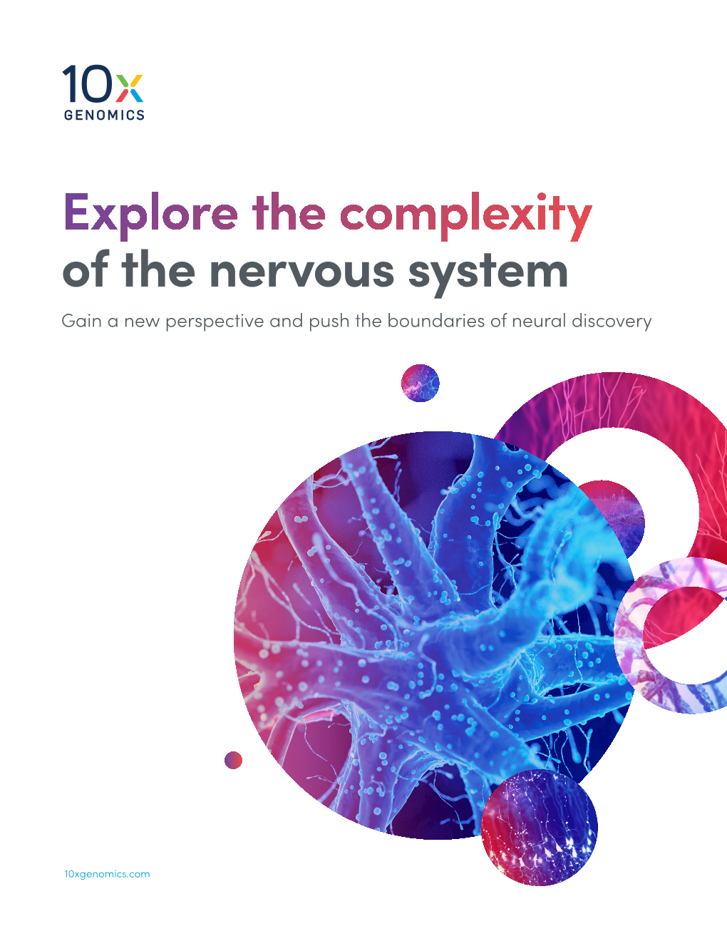 Explore the Complexity of the Nervous System Gain a New Perspective and Push the Boundaries of Neural Discovery