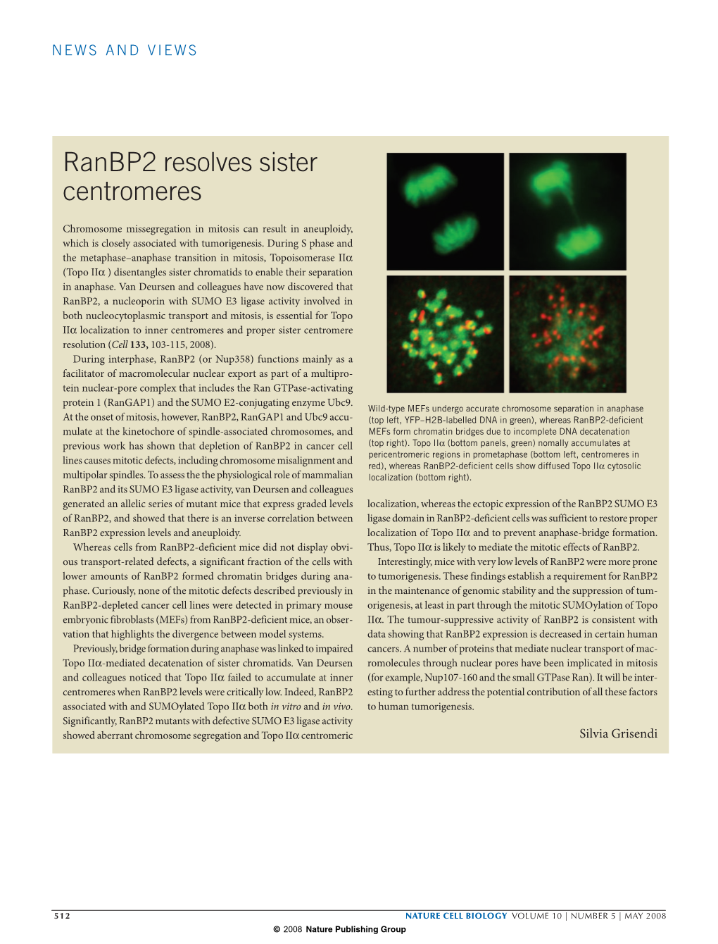 Ranbp2 Resolves Sister Centromeres