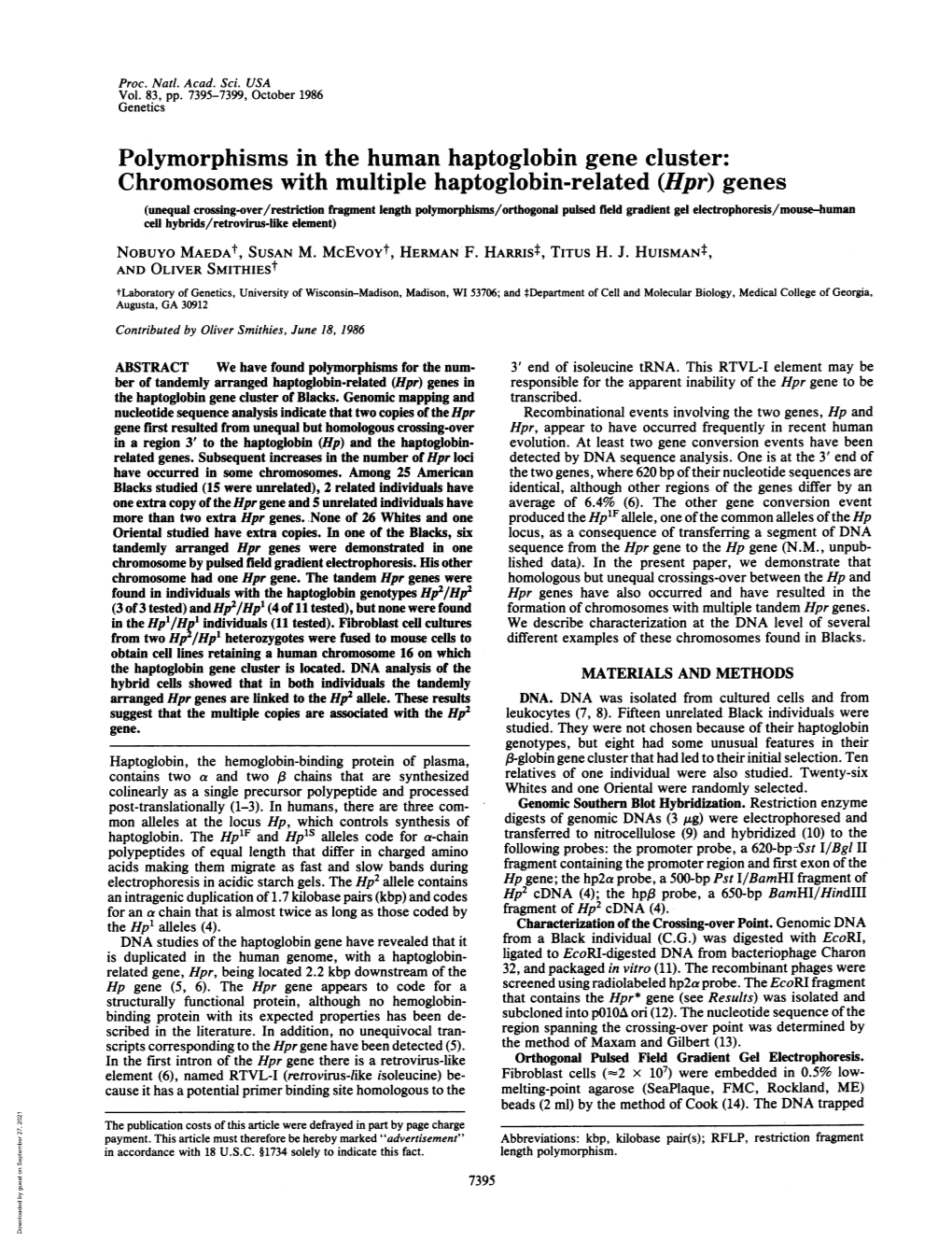 Polymorphisms in the Human Haptoglobin Gene Cluster