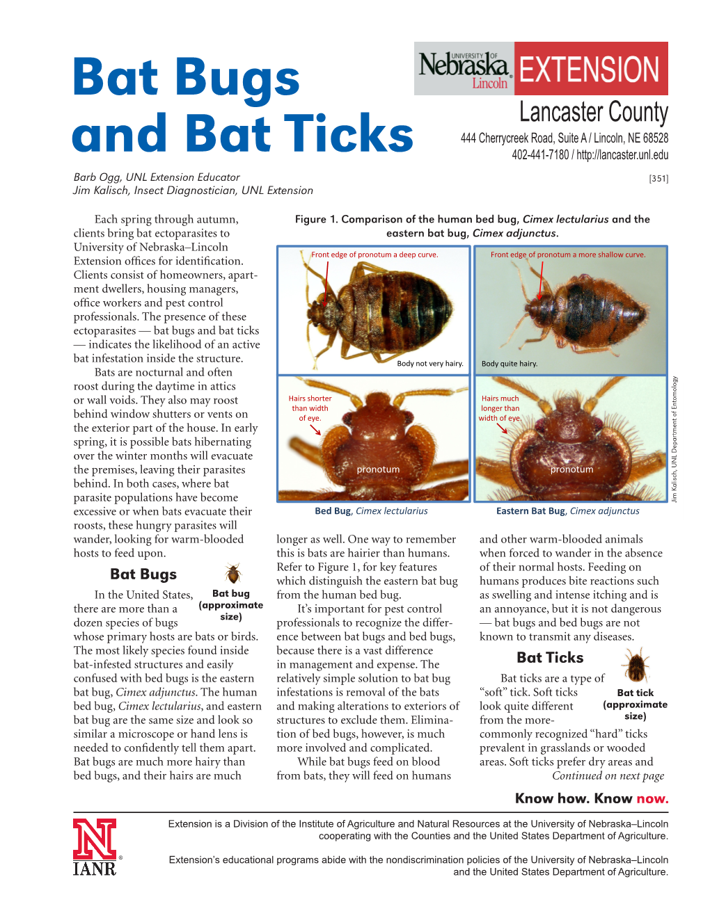 Bat Bugs and Bat Ticks — Indicates the Likelihood of an Active Bat Infestation Inside the Structure