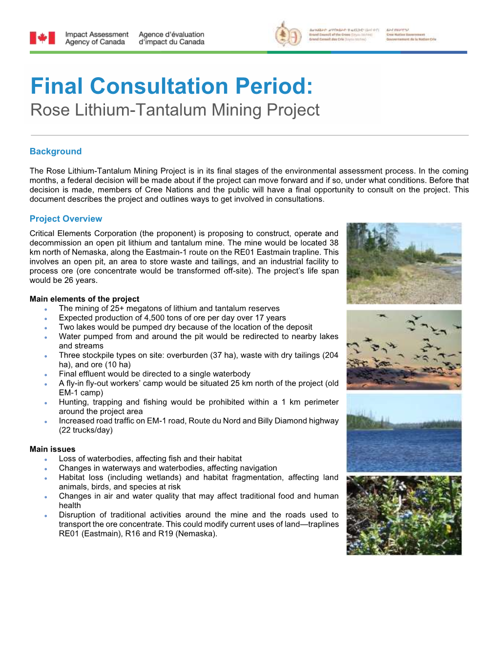 Final Consultation Period