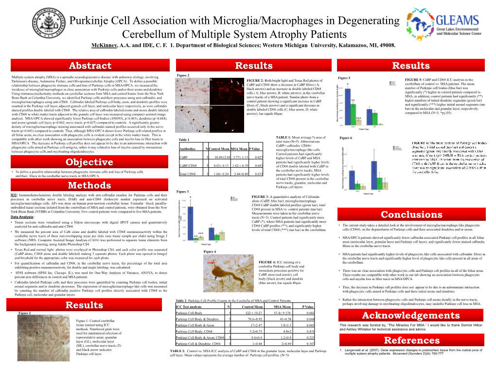 Purkinje Cell Association with Microglia/Macrophages in Degenerating Cerebellum of Multiple System Atrophy Patients Mckinney, A.A