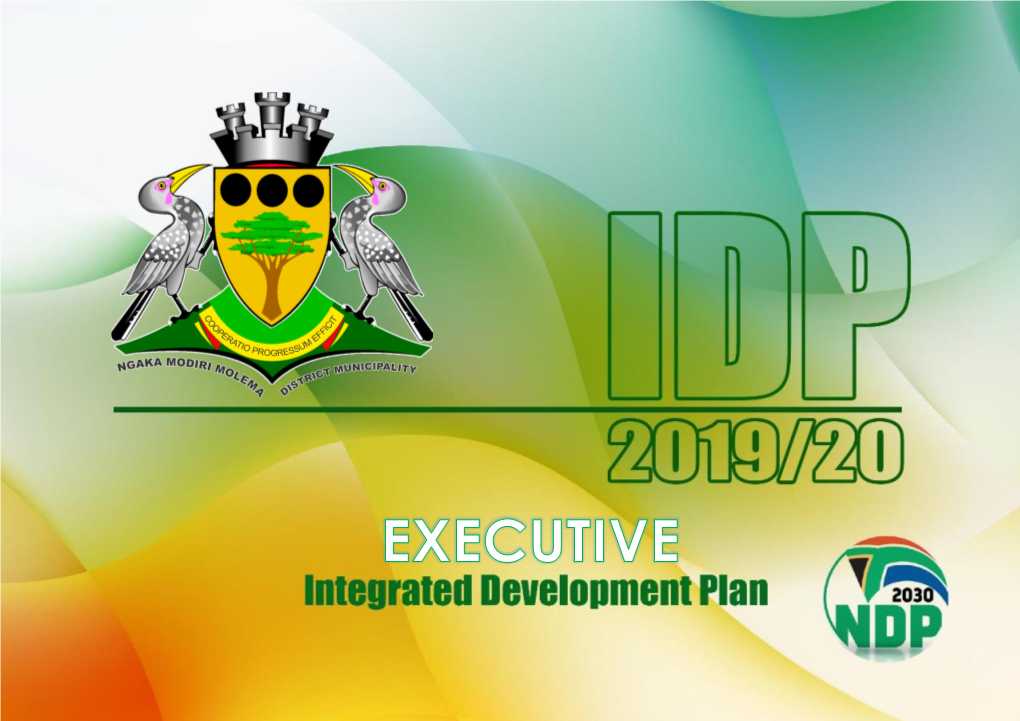 Executive Integrated Development Plan 2019/2020