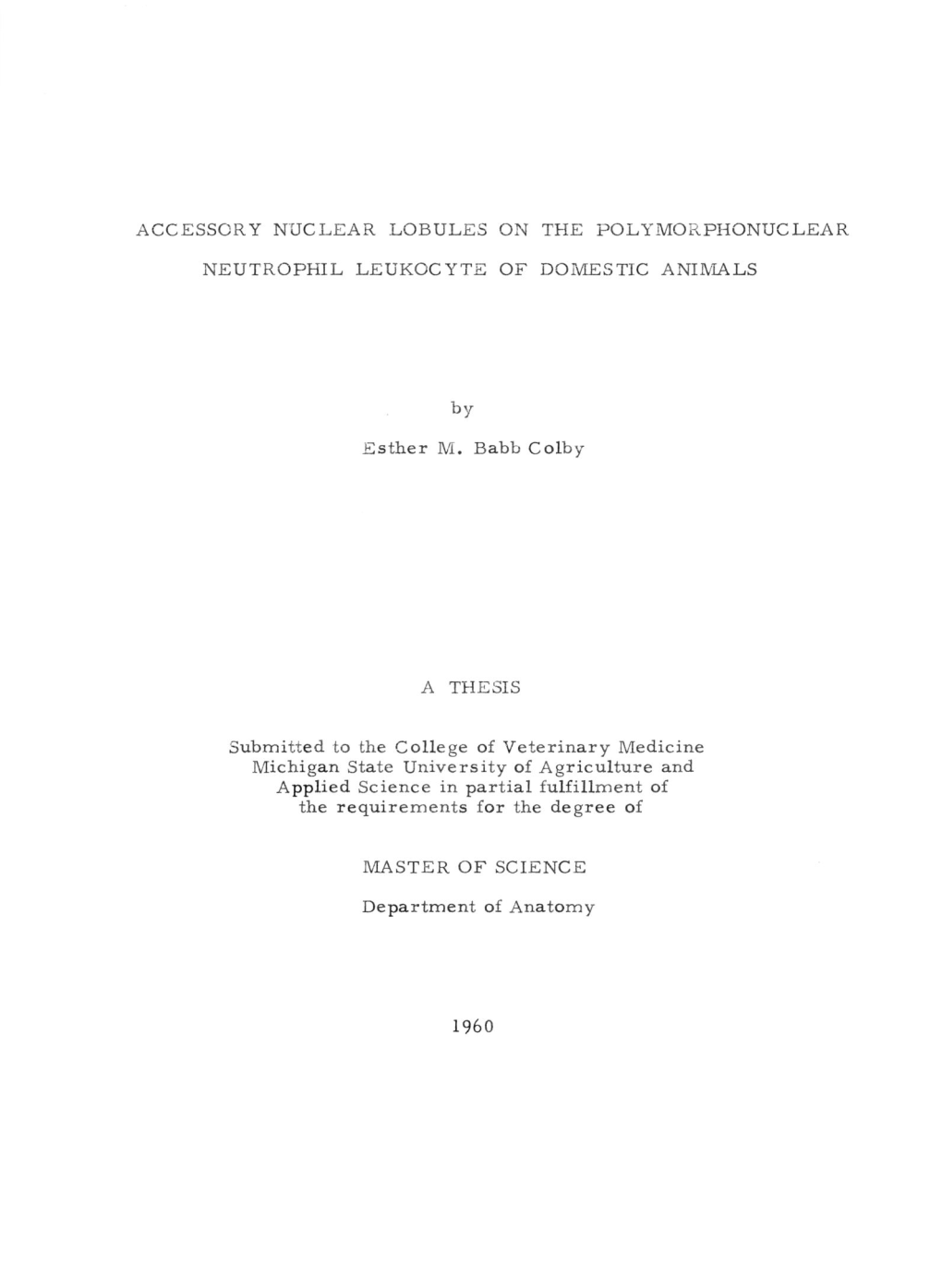 Accessory Nuclear Lobules on the Polymorphonuclear