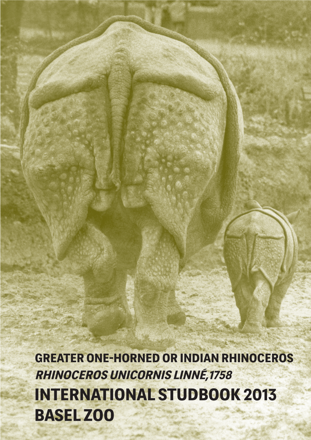 INTERNATIONAL STUDBOOK 2013 BASEL ZOO ZOO BASEL International Studbook Greater One-Horned Or Indian Rhinoceros 2013