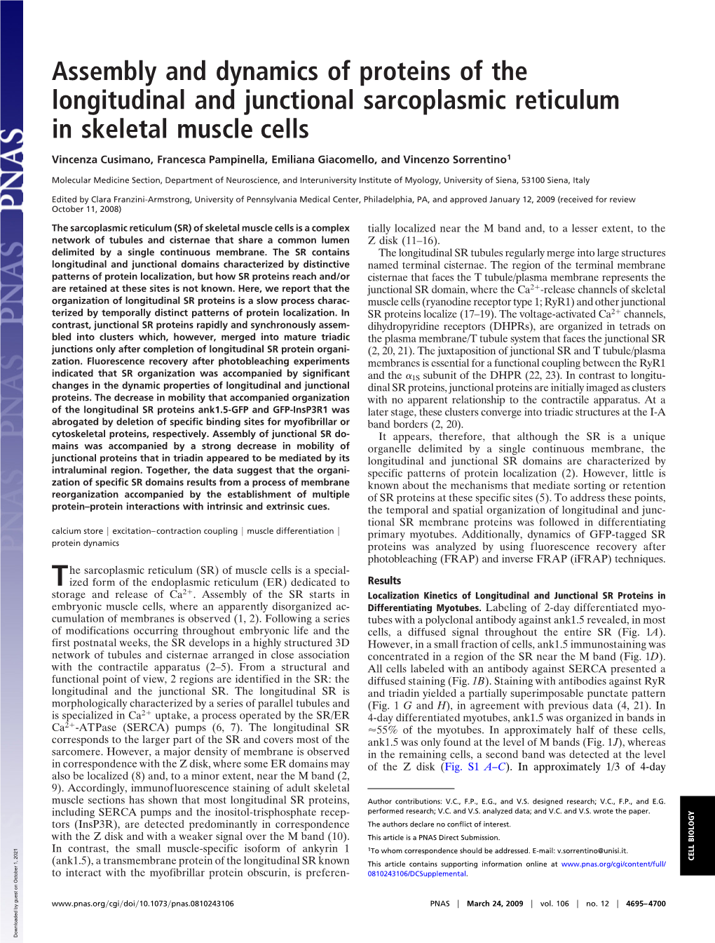 Assembly and Dynamics of Proteins of the Longitudinal and Junctional Sarcoplasmic Reticulum in Skeletal Muscle Cells