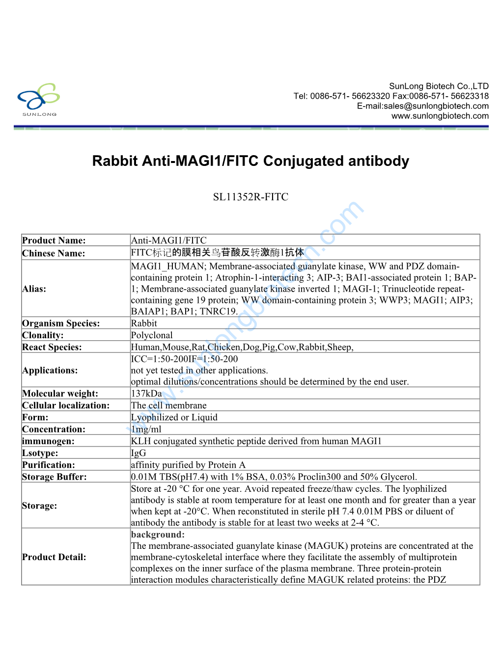 Rabbit Anti-MAGI1/FITC Conjugated Antibody