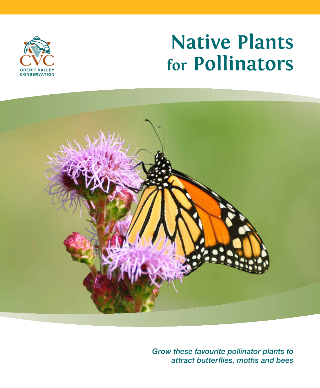 Native Plants for Pollinators