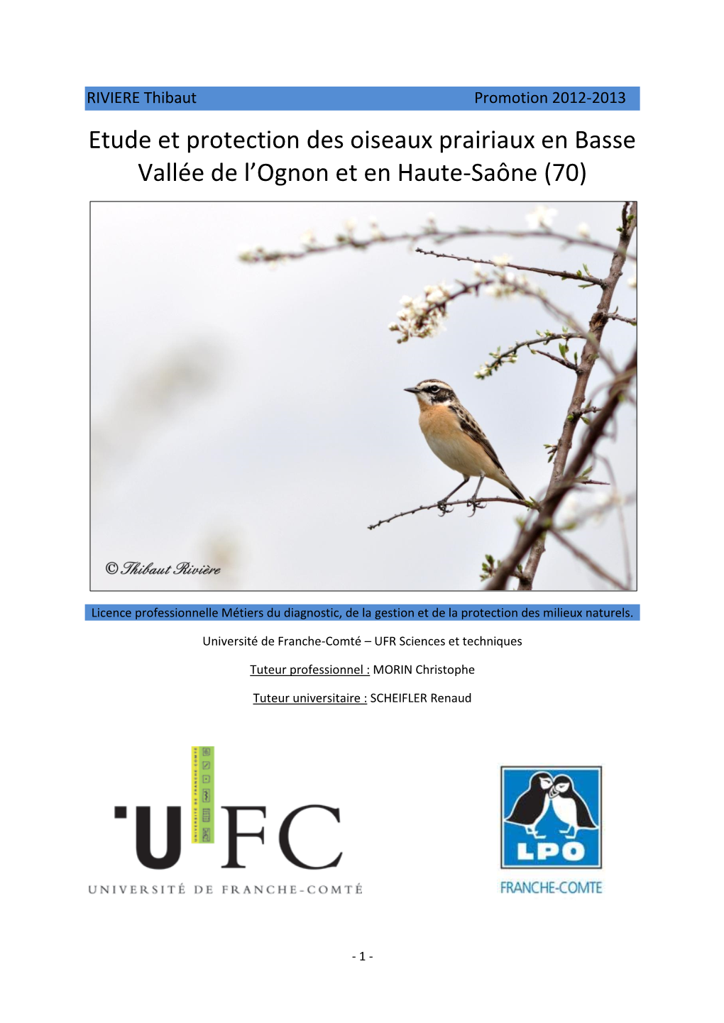 Etude Et Protection Des Oiseaux Prairiaux En Basse Vallée De L’Ognon Et En Haute-Saône (70)