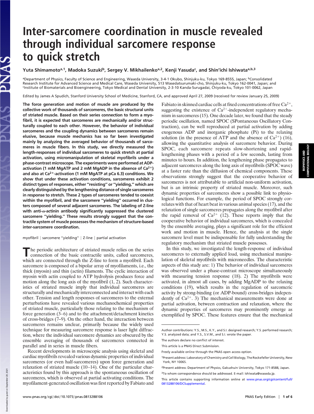 Inter-Sarcomere Coordination in Muscle Revealed Through Individual Sarcomere Response to Quick Stretch