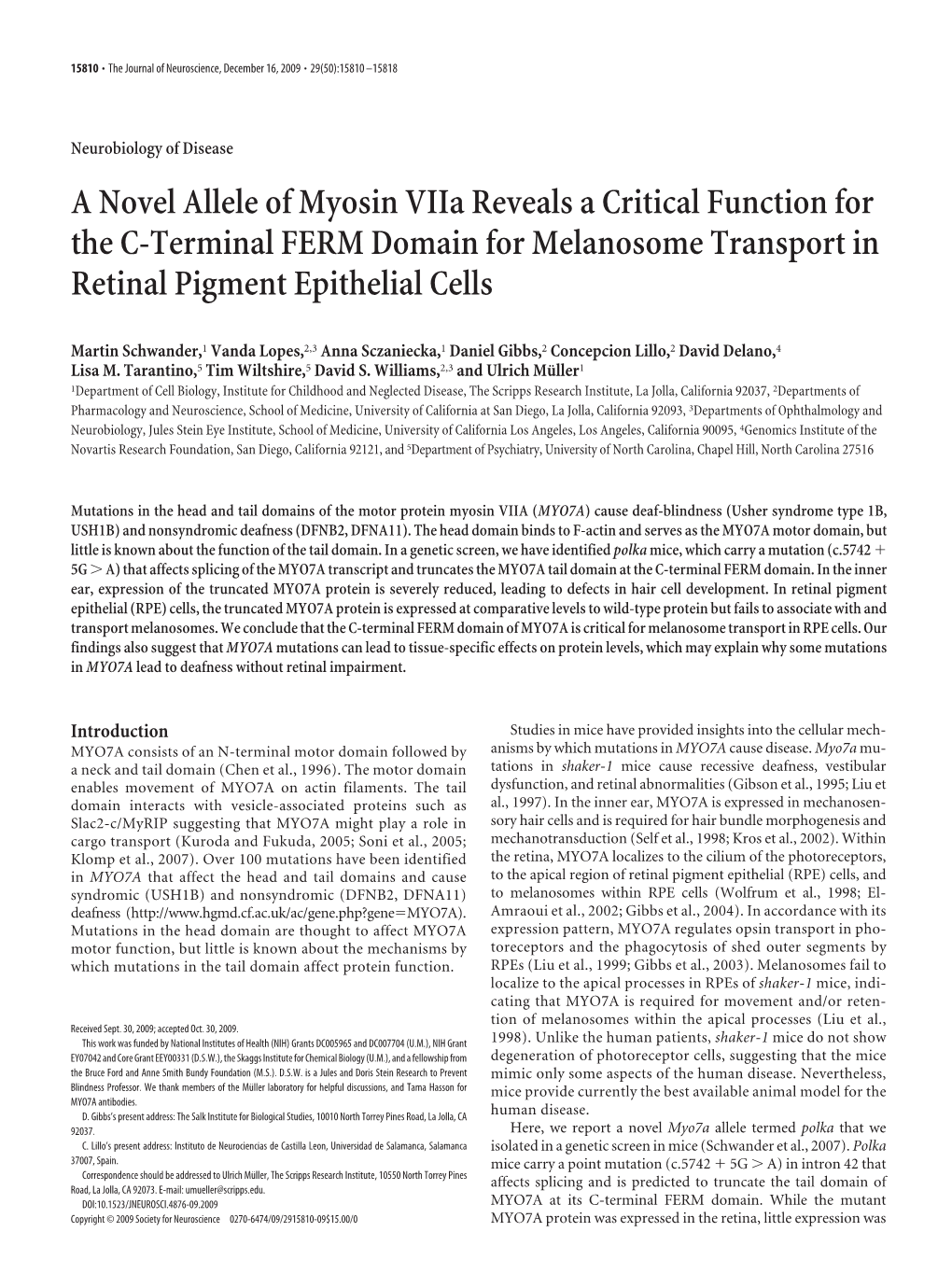 A Novel Allele of Myosin Viia Reveals a Critical Function for the C-Terminal FERM Domain for Melanosome Transport in Retinal Pigment Epithelial Cells