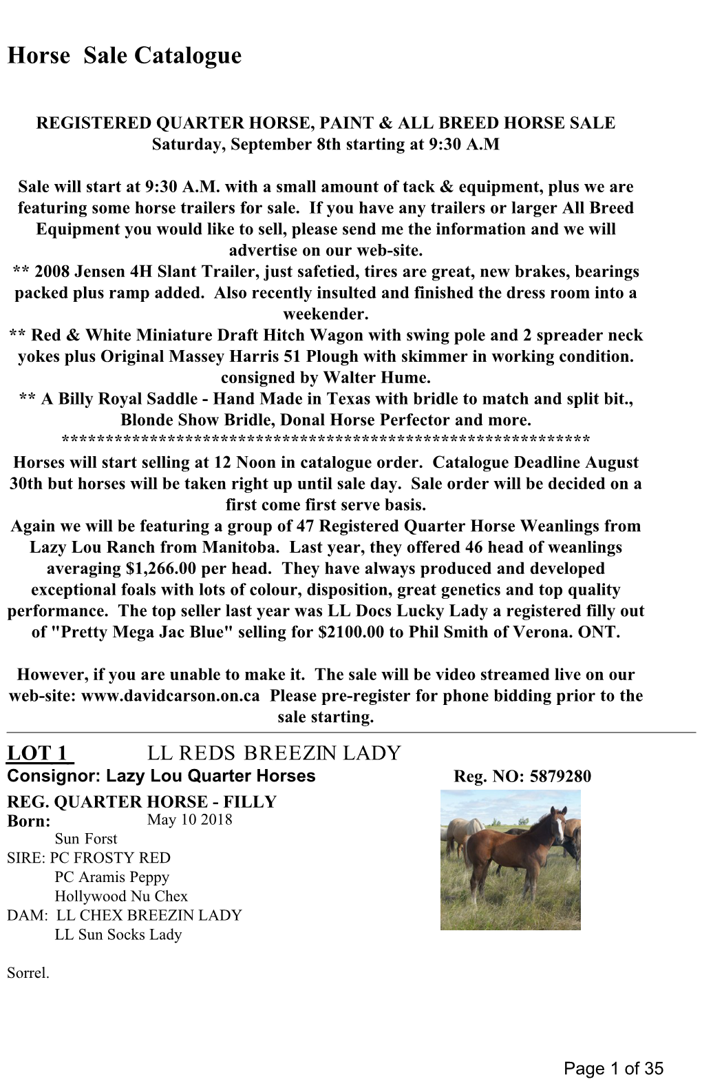 Horse Sale Catalogue