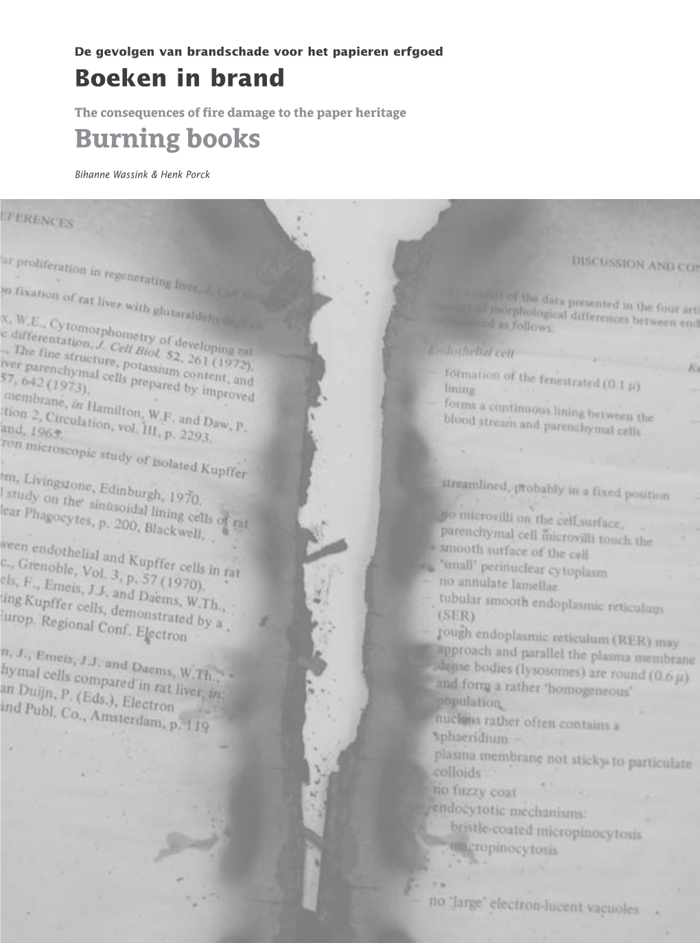 Boeken in Brand
