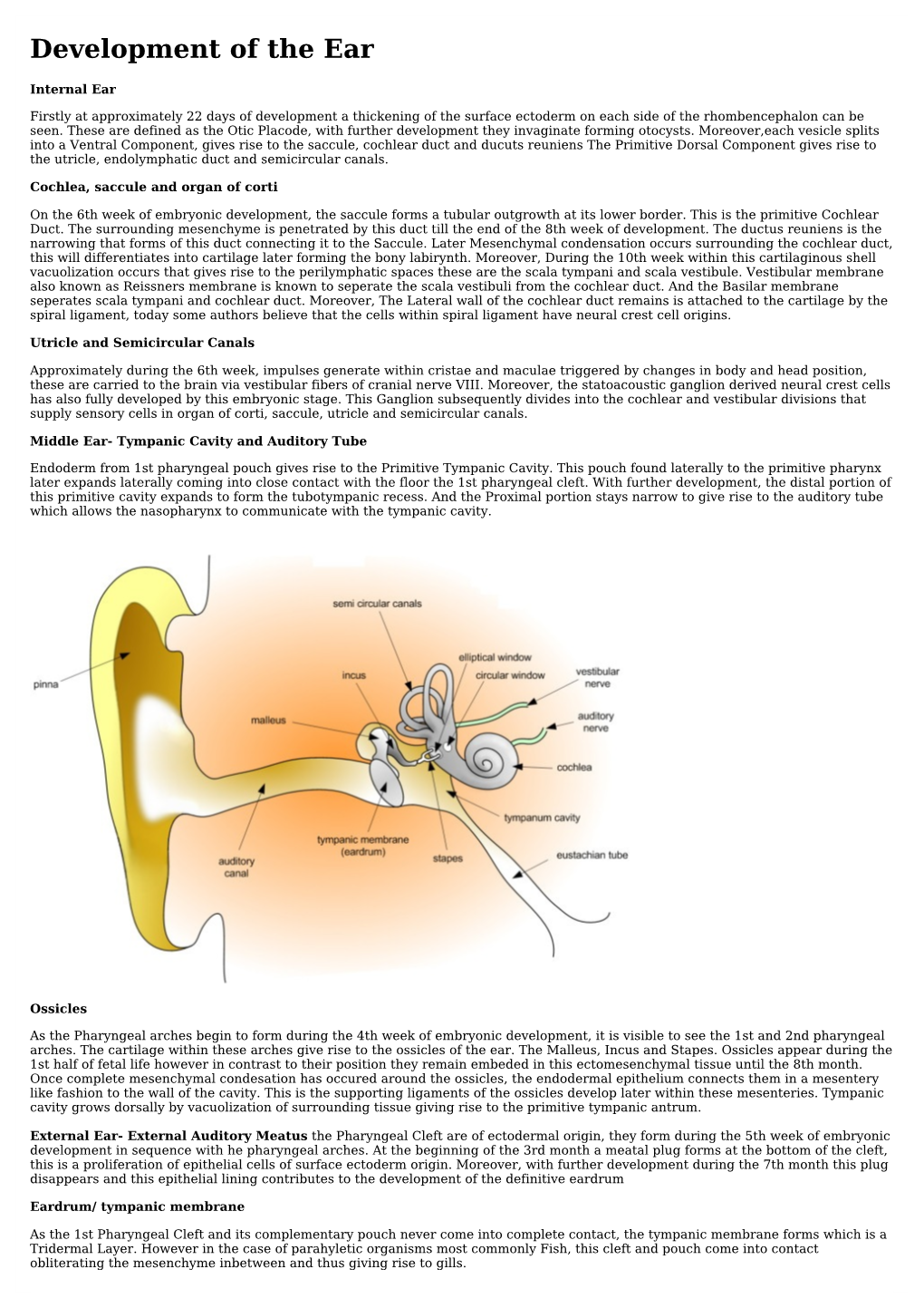 Development of the Ear