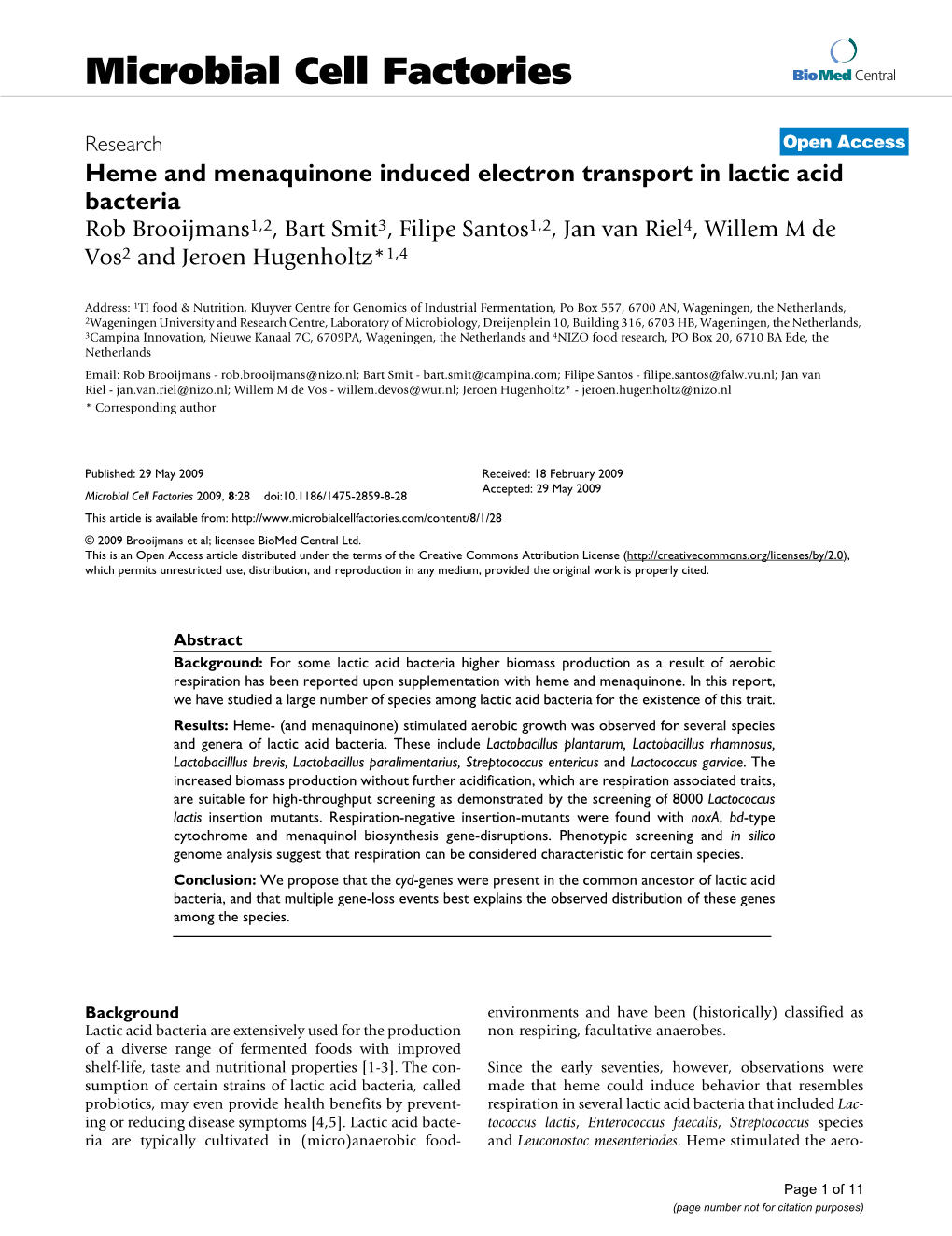 Heme and Menaquinone Induced Electron Transport in Lactic Acid