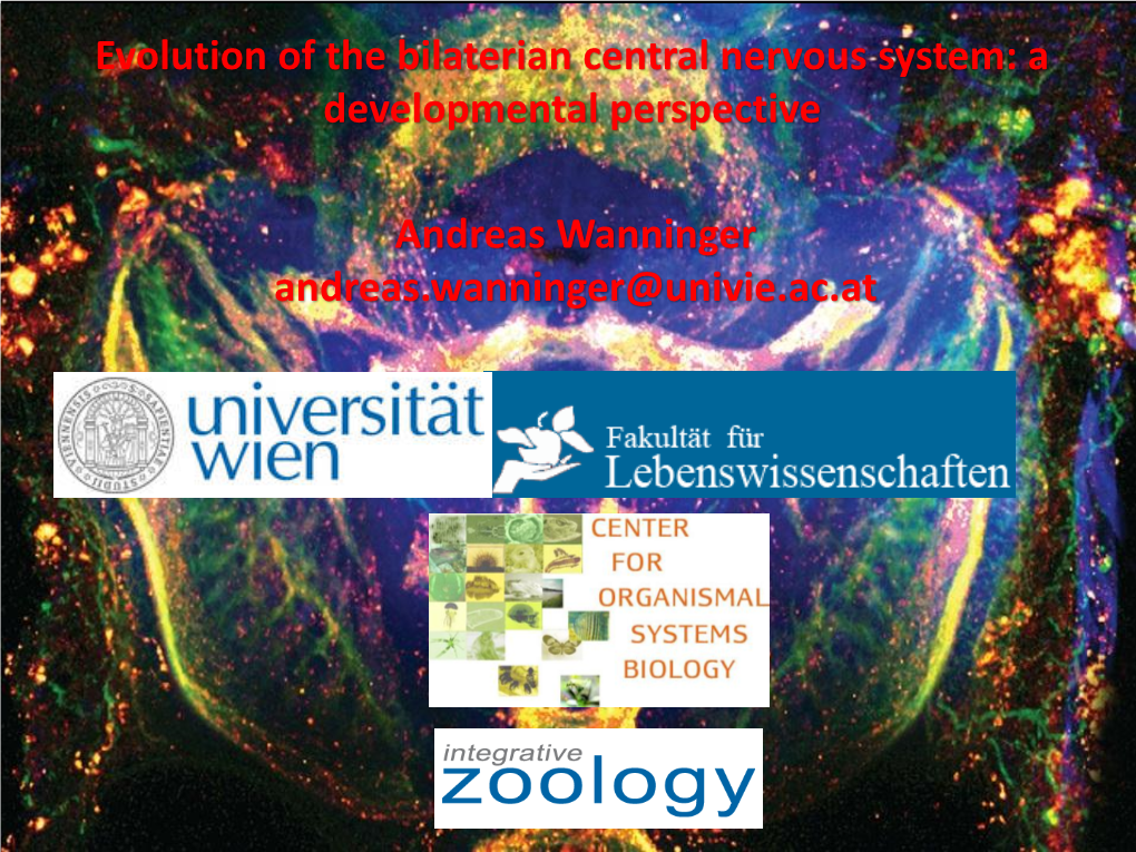 Evolution of the Bilaterian Central Nervous System: a Developmental Perspective