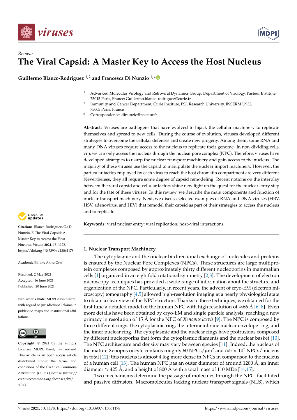 The Viral Capsid: a Master Key to Access the Host Nucleus