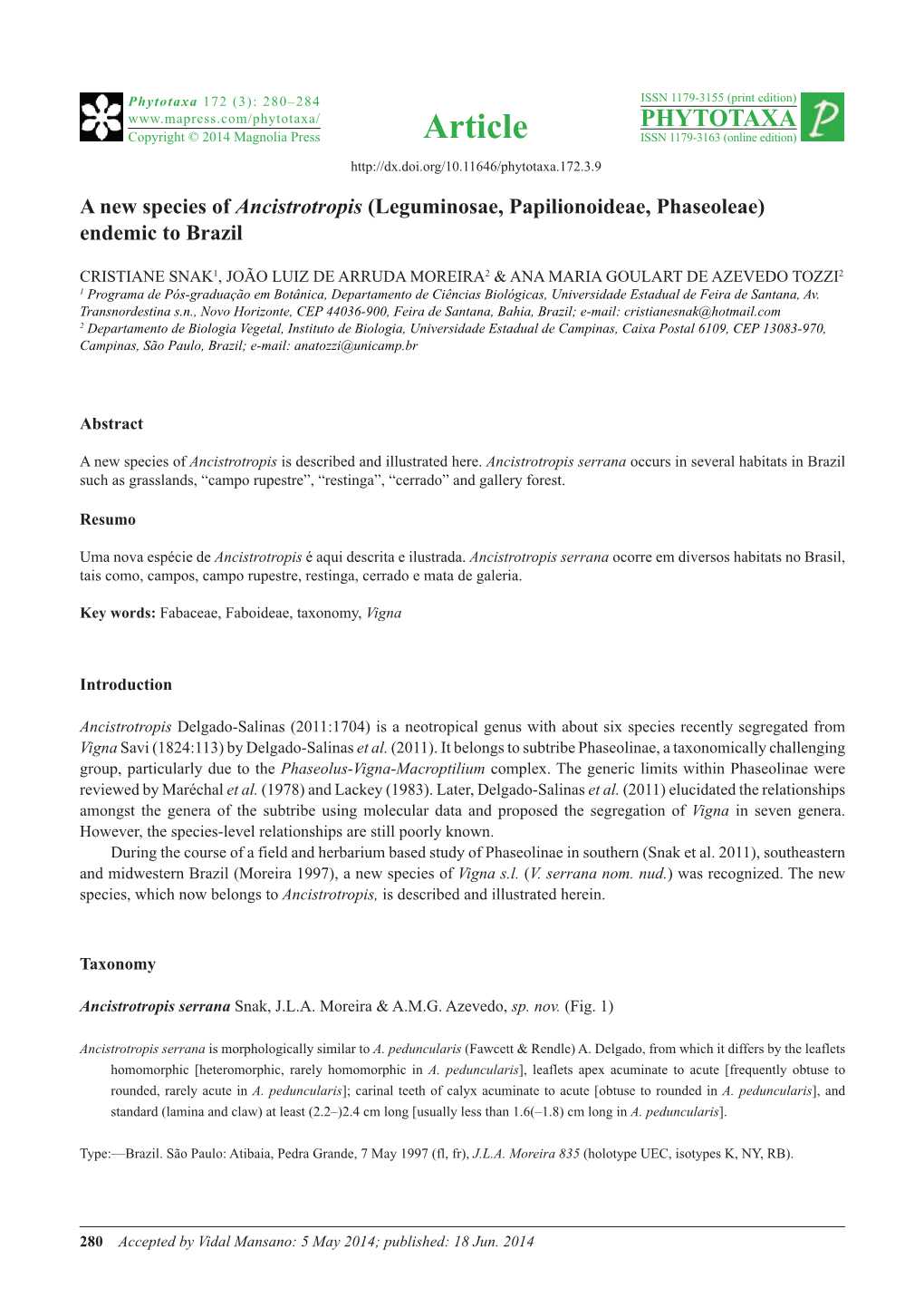 A New Species of Ancistrotropis (Leguminosae, Papilionoideae, Phaseoleae) Endemic to Brazil