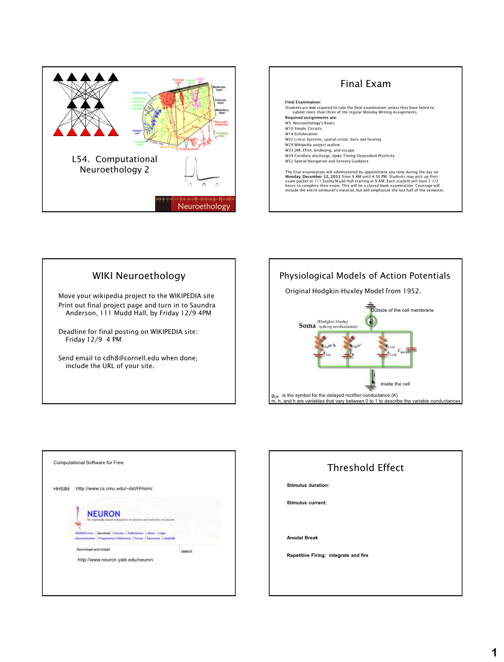 Final Exam WIKI Neuroethology Threshold Effect