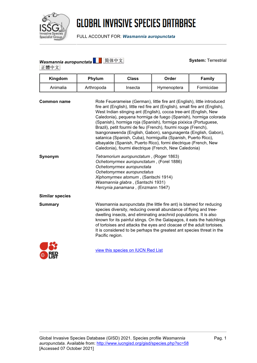 FULL ACCOUNT FOR: Wasmannia Auropunctata Global Invasive Species Database (GISD) 2021. Species Profile Wasmannia Auropunctata. A