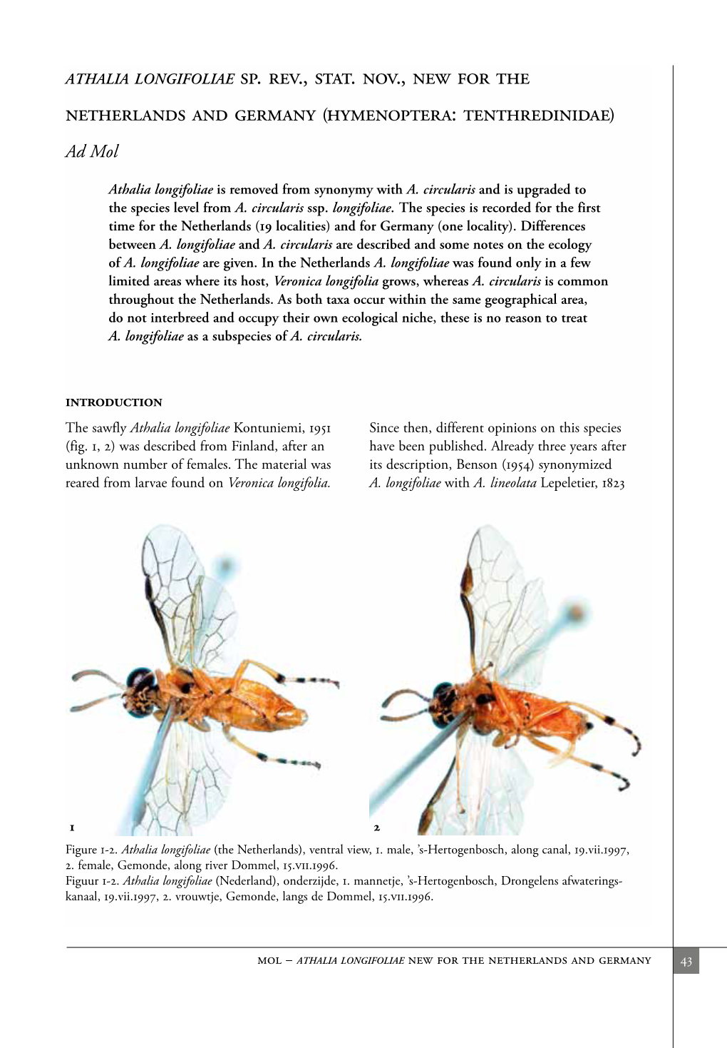 Hymenoptera: Tenthredinidae)