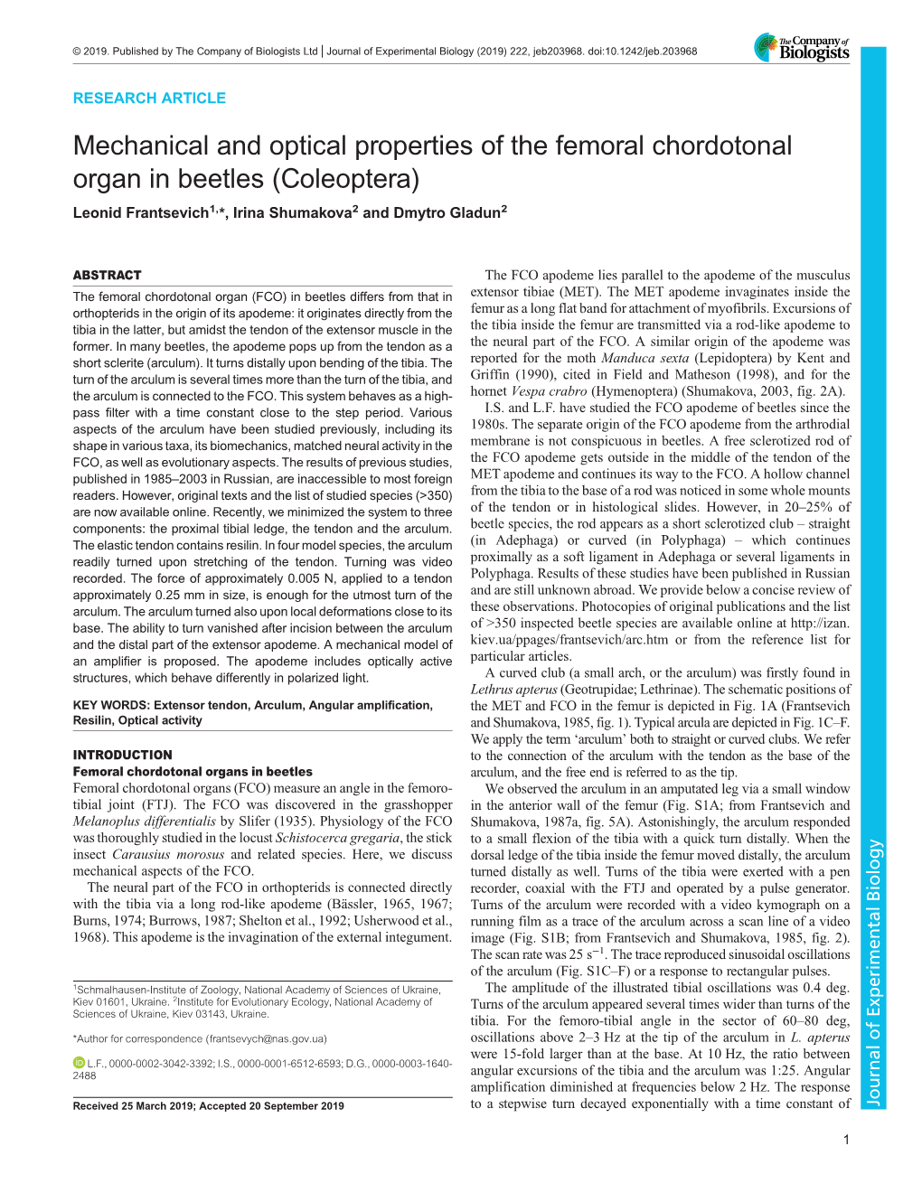 Mechanical and Optical Properties of the Femoral Chordotonal Organ in Beetles (Coleoptera) Leonid Frantsevich1,*, Irina Shumakova2 and Dmytro Gladun2
