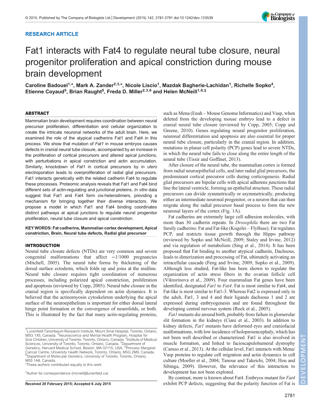 Fat1 Interacts with Fat4 to Regulate Neural Tube Closure, Neural