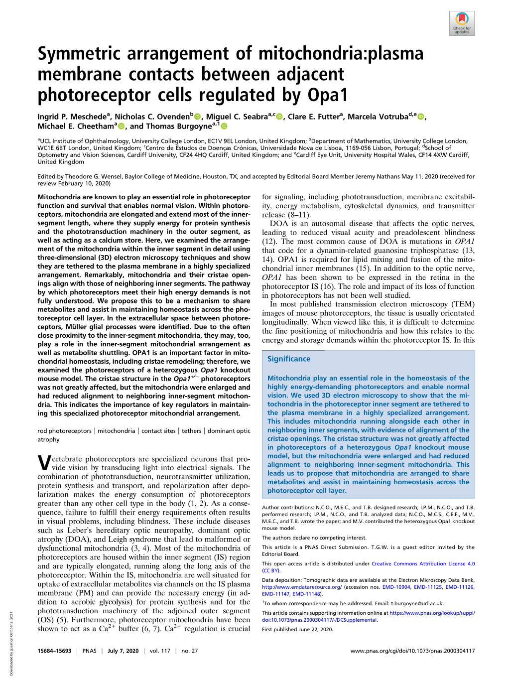 Symmetric Arrangement of Mitochondria:Plasma Membrane Contacts Between Adjacent Photoreceptor Cells Regulated by Opa1