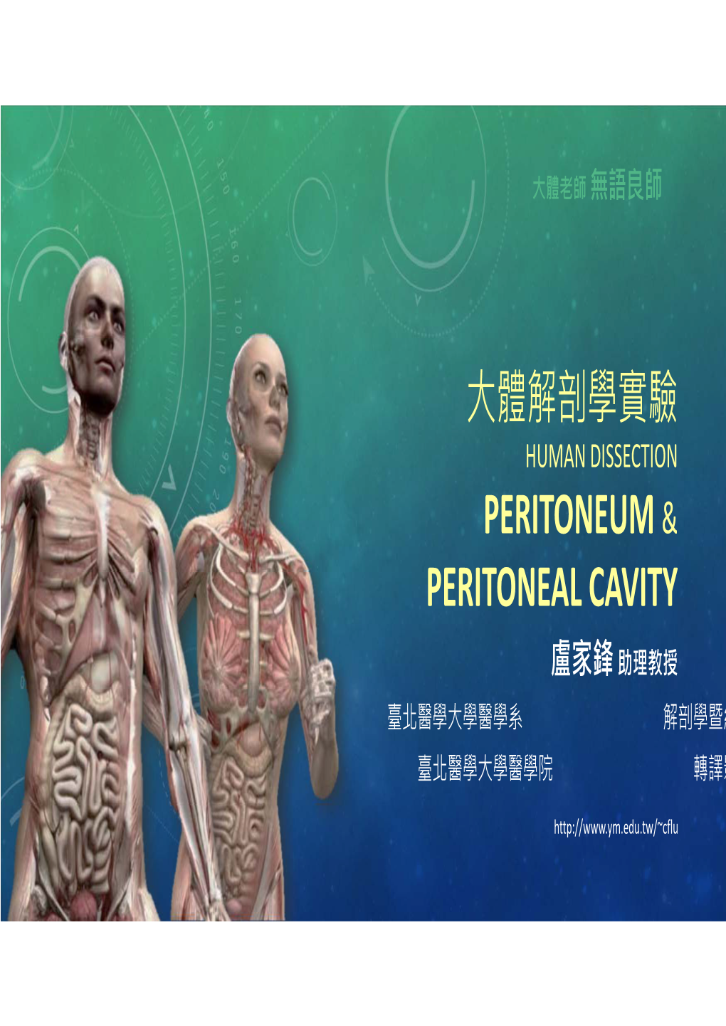 大體解剖學實驗peritoneum & Peritoneal Cavity