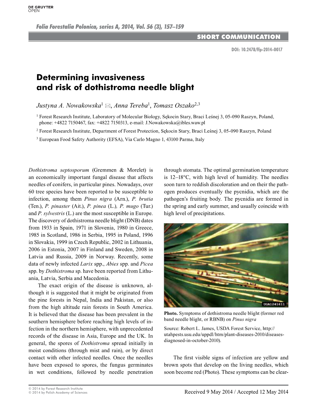 Determining Invasiveness and Risk of Dothistroma Needle Blight