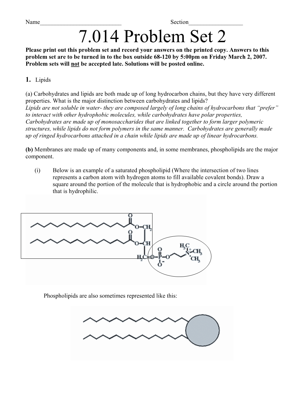 Question About Phospholipids